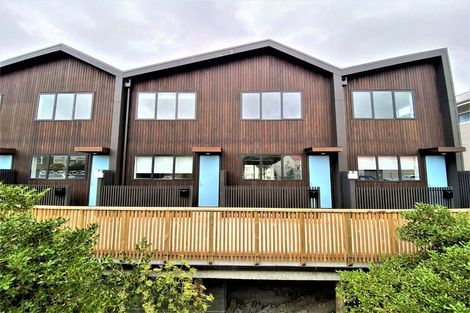 Photo of property in Aniva Terrace, 32 Ferguson Street, Newtown, Wellington, 6021