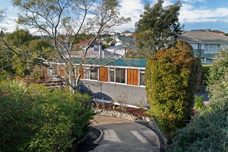 Photo of property in 163 Sidey Street, Calton Hill, Dunedin, 9012
