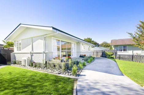 Photo of property in 8 Salisbury Avenue, Tamatea, Napier, 4112