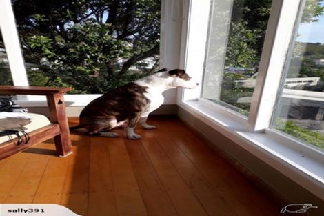 Photo of property in 39 Hudson Street, Island Bay, Wellington, 6023