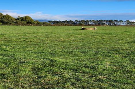 Photo of property in 5 Robson Court, Gate Pa, 3112