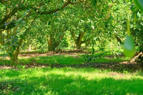 Photo of property in 159 Walker Road East, Aongatete, Katikati, 3178