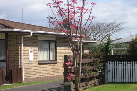 Photo of property in 21b Matavai Street, Mount Maunganui, 3116