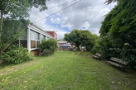 Photo of property in 41 Tudor Road, Henderson, Auckland, 0610