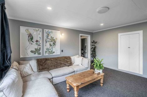 Photo of property in 46 Queen Street, Balfour, 9779