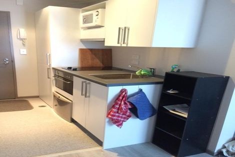 Photo of property in Dual Apartments, 108/142 Vivian Street, Te Aro, Wellington, 6011