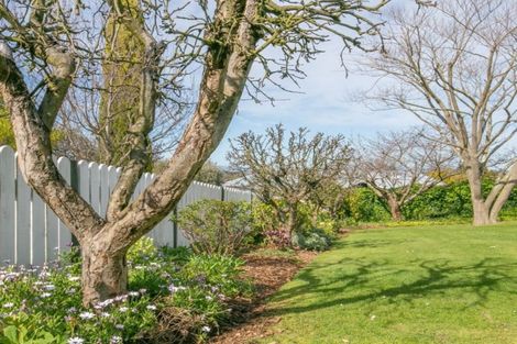 Photo of property in 25 Puriri Crescent, Lansdowne, Masterton, 5810
