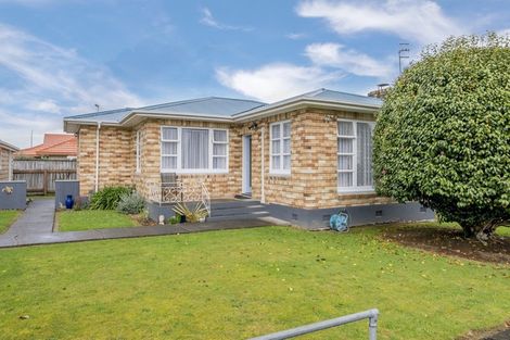 Photo of property in 19 Stanley Street, Levin, 5510