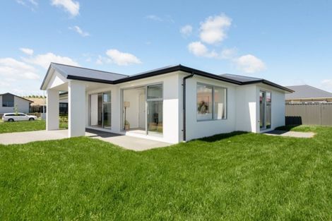 Photo of property in 24 Blacklock Road, Pyes Pa, Tauranga, 3112
