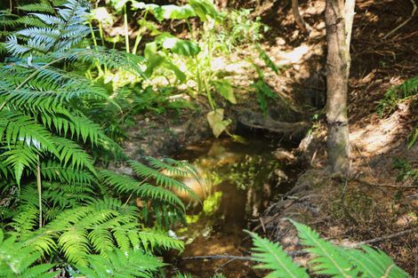 Photo of property in 96 Lamb Road, Parua Bay, Whangarei, 0174