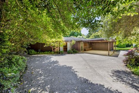 Photo of property in 42a Regan Street, Stratford, 4332