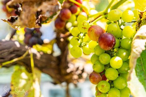 Photo of property in 2305 State Highway 12, Paparoa, 0571