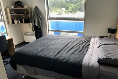 Photo of property in Hanson House, 7a/27 Hanson Street, Mount Cook, Wellington, 6021