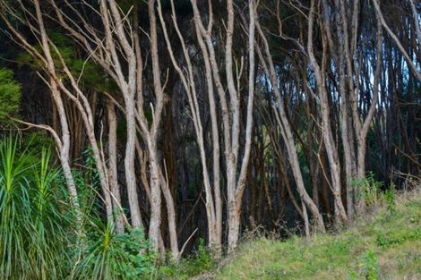 Photo of property in 354 Matokitoki Valley Road, Matokitoki, Gisborne, 4071