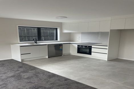 Photo of property in 6a Hamlin Road, Mount Wellington, Auckland, 1060