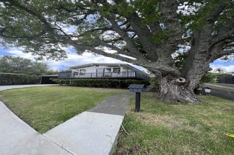 Photo of property in 31 Aplin Place, Birkdale, Auckland, 0626