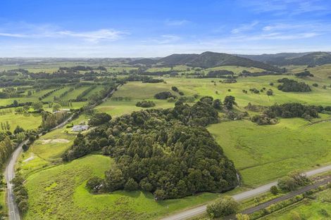 Photo of property in 559 Old Kaipara Road, Kaipara Flats, Warkworth, 0981