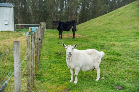 Photo of property in 1832 Whangamata Road, Marotiri, Taupo, 3377