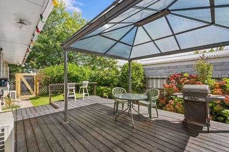 Photo of property in 1/56 Leefield Street, Blenheim, 7201