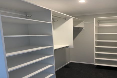 Photo of property in 34 Nile Street, Waterloo, Lower Hutt, 5011