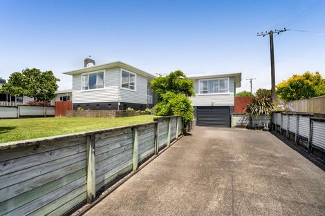 Photo of property in 101 Rata Street, Inglewood, 4330