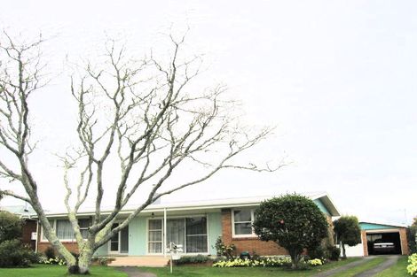 Photo of property in 20 Woods Avenue, Matua, Tauranga, 3110