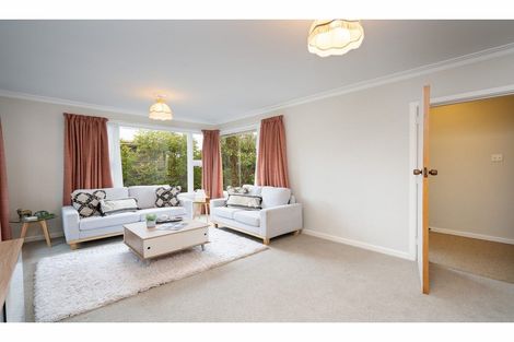 Photo of property in 54 Hillsborough Terrace, Hillsborough, Christchurch, 8022