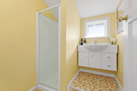 Photo of property in 111 Daniell Street, Newtown, Wellington, 6021