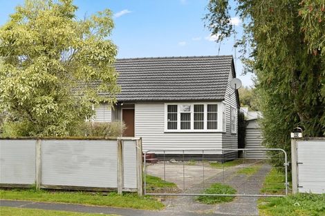 Photo of property in 60 Alfred Street, Fairfield, Hamilton, 3214