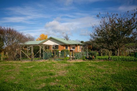 Photo of property in 10 Kittow Street, Tirau, 3410