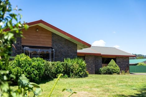 Photo of property in 17 Buller Street, Waihi, 3610