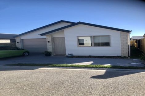 Photo of property in 3 Repo Lane, Poike, Tauranga, 3112