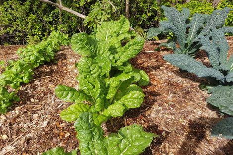 Photo of property in 164-166 Lone Kauri Road, Karekare, New Lynn, 0772