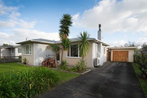 Photo of property in 50 Birmingham Street, Takaro, Palmerston North, 4412