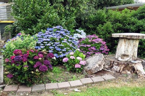 Photo of property in 35 Bushyhill Street, Tapanui, 9522