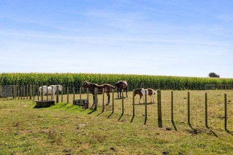 Photo of property in 33 Foreman Road, Manutahi, Patea, 4598