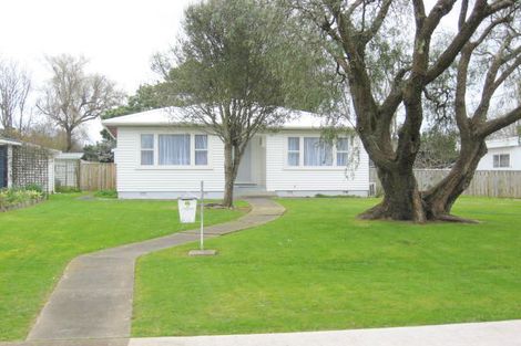 Photo of property in 3 Edinburgh Street, Levin, 5510