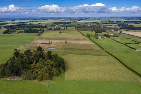 Photo of property in 920 Oxford Road, Fernside, Rangiora, 7471