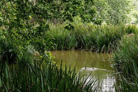 Photo of property in 9 Otau Mountain Road, Clevedon, Papakura, 2585