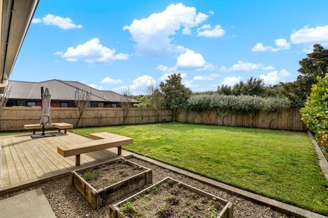 Photo of property in 9a Saffron Street, Cambridge, 3434