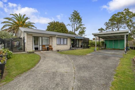 Photo of property in 135 Hakanoa Street, Huntly, 3700