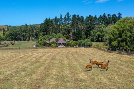 Photo of property in 8b Willow Lane, Stillwater, Silverdale, 0993