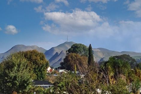 Photo of property in 12 The Croft, Havelock North, 4130