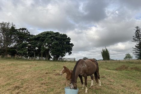 Photo of property in 123 Colville Road, Dargaville, 0377