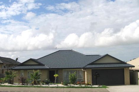 Photo of property in 39 Semillon Avenue, Henderson, Auckland, 0612