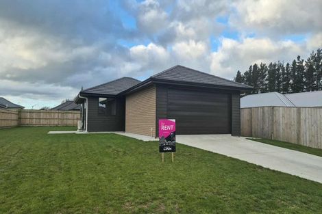 Photo of property in 49 Hereford Street, Marton, 4710