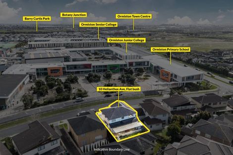 Photo of property in 10 Helianthus Avenue, Flat Bush, Auckland, 2019