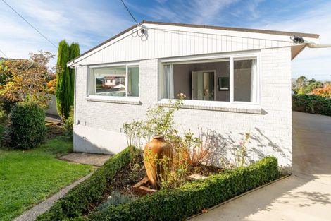 Photo of property in 36 Kilgour Street, Roslyn, Dunedin, 9010