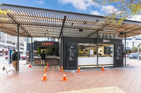 Photo of property in Elevate, 1/30b Taranaki Street, Te Aro, Wellington, 6011