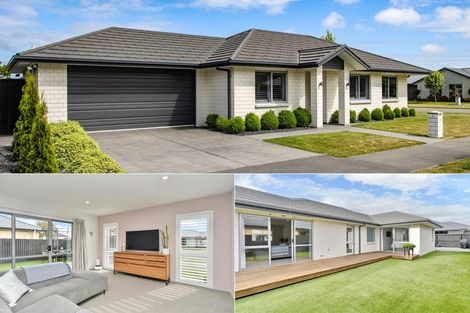 Photo of property in 69 Ruapani Street, Marshland, Christchurch, 8083